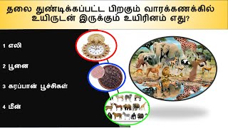 99% பேருக்கு தெரியாத GK-யின் 20 உண்மைகள், தெரிந்தால் நீங்களும் ஆச்சரியப்படுவீர்கள். #tamilgkquiz