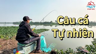 Câu cá tự nhiên. Trải nghiệm điểm câu mới trên sông Cốc | Phú Hải Fishing