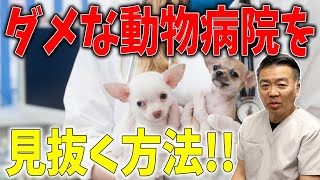 【犬の暮らし＃75】ダメな動物病院を見抜く方法！