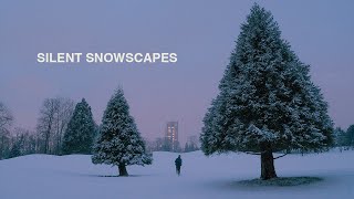 How to Capture Calm Snow Photography