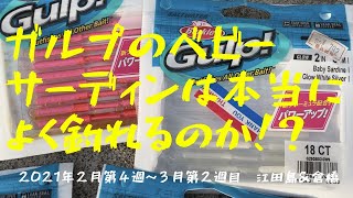 #17【メバル、カサゴ釣り】ガルプのベビーサーディンは本当によく釣れるのか！？2021年2月第4週目～3月第2週目　広島　江田島＆倉橋方面