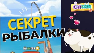 Секрет рыбалки в Catizen