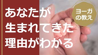 これを見るとあなたが生まれてきた理由がわかります