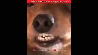 எனக்கு சாவு பயத்த காட்டிடாங்க பரமா😫 #shorts #trending #funnyvideo