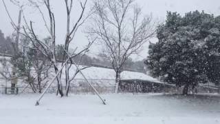 【大雪警報発令】数年に一度の大雪となった三重県北部の様子 積雪15センチ観測