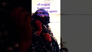 നിനക്കൊന്നും വേറെ പണിയില്ലേ#shortvideo