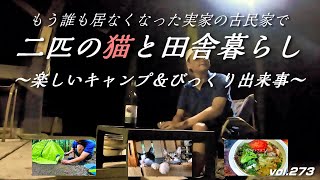 【フカセンvlog273】楽しいキャンプから一転！真夜中にとんでもないハプニングが！／完ソロキャンプ／古民家で保護猫マオランと一人田舎暮らし。