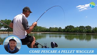 COME PESCARE A PELLET WAGGLER