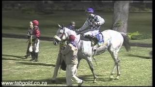 Greyville 10102014 Race 7 won by  KENTUCKY GUEST