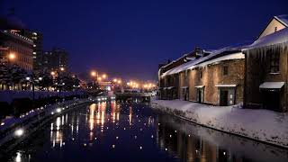 小樽雪あかりの路2018：小樽運河の風景