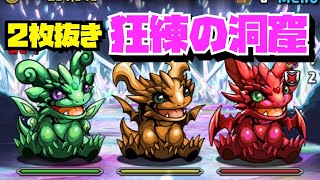 【2枚抜き】狂練の洞窟周回編成紹介！！【パズル\u0026ドラゴンズ】