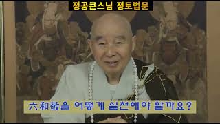 극락왕생이 제일의 복덕입니다. 정공큰스님 정토법문