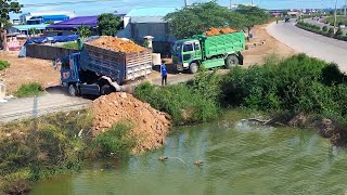 Wonderful Start A New Project!! Filling Land Dump Truck 5Ton Expert Operator Bulldozer Pushing Soil