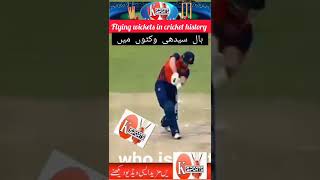 وکٹیں توڑ دیں Wickets Flying Balls in Cricket | Stumps Flying | Stumps Breaking Ksports