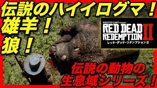 ＜RDR2＞伝説の動物の生息地シリーズ第１弾！伝説のハイイログマ、狼、雄羊の生息地！アクセサリーとタリスマンの性能を考察！＃10