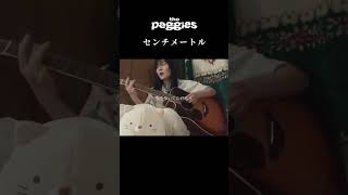 the peggies「センチメートル(弾き語り)」【the peggies北澤ゆうほ　インスタグラム切り抜き】#thepeggies #北澤ゆうほ #ぺギーズ#shorts