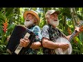 The Forest Drifter - Banjo & Accordion | Enchanted Forest Bluegrass Schlager Mix