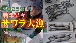 2025年1月　サワラ・寒ブリ　新年の釣り　一本釣りのイマイ