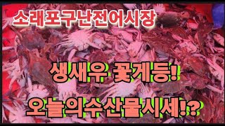 꽃게키로1만원생새우1말2만원  9월8일오늘의수산물시세