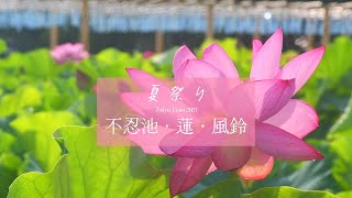 うえの夏まつり2024「不忍池・蓮・風鈴」