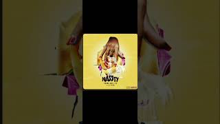 nASSTY- D block europe ft. Lil Pino