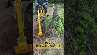 PC01で根っこ掘り開始！！　Start digging roots with the PC01!!　#PC01 #ユンボ #コマツ #世界最小 #komatsu #world's smallest