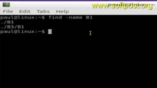 How to find only files using find command in BASH shell terminal