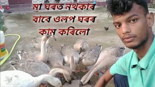 When mother are not present at 🏠।। মায়ে যেতিয়া ঘৰত নাথাকে।। #❤️ mother.# Village vlog#