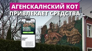 Персик собирает пожертвования бездомным котам