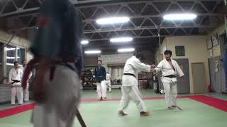 GYOKUSINNRYU AIKIDOU WASHIZU SHIHAN EMONODORI