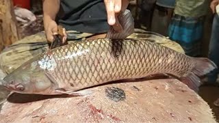 How to Cut Grass Carp Fish: Quick Cleaning \u0026 Filleting Tips