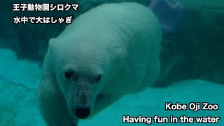 [Relaxing] Polar bears at Oji Zoo have fun in the water!