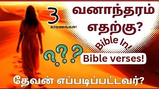 வனாந்தரம் எதற்கு?(3 காரணங்கள்\u0026வசனம்|wilderness|greatest bible verses|christian#animation#jesus#tamil