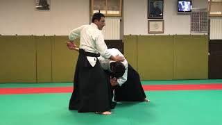 Uchi Kaiten Nage - Aihanmi Katate Dori