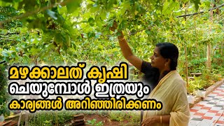 മഴക്കാല കൃഷി ഇത്രയും കാര്യങ്ങൾ അറിഞ്ഞിരിക്കണം  | Mazhakala Krishi | Monsoon Farming tips