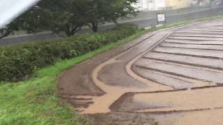 台風9号（H28.8/22）暴風豪雨　町田市野津田町　鶴見川の様子