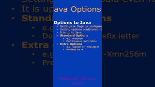 Java Options / System Properties