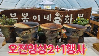 9월25일 #봉봉이네화분 #수제다육공방분 #오전영상 #2+1행사입니다