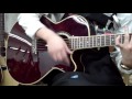 Takamine / DMP551C Wine Red【ブリッジPU+コンタクトPUミックス】