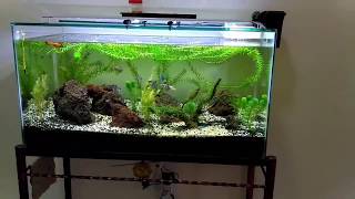 HANG-ON (Modifikasi Filter ganda) untuk Aquascape, Air lebih tenang dan jernih.