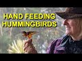 Hand Feeding Hummingbirds in Colombia