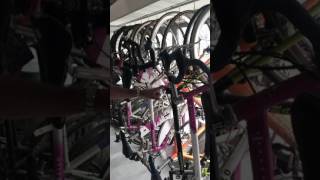 Fausto Pinarello's bike collection