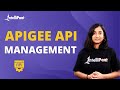 Introduction To Apigee API Management | Apigee API Management | Intellipaat