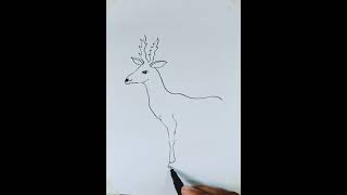 #deer #drawing #art #animal
