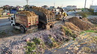 Start An Enormous Project!! By dozer D31 Pushing Soil with Dump truck Fill Land Unloading, Mix VDO