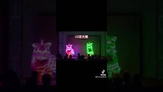 舞龍舞獅，祥獅獻瑞，醒獅表演，各種精彩表演歡迎預約。