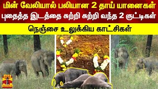 மின் வேலியால் பலியான 2 தாய் யானைகள்.. புதைத்த இடத்தை சுற்றி சுற்றி வந்த 2 குட்டிகள் | Dharmapuri