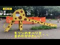 府中の森公園　遊具　ファミリーおすすめスポット