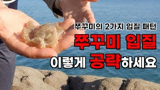 덕적도 1박 2일(1편) 낚시 여행 1일차 워킹 쭈꾸미 갑오징어 낚시하면서 이런 입질일때는 이렇게 하세요!