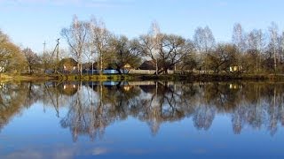 Полесский заповедник с. Селезовка 36 м над землей